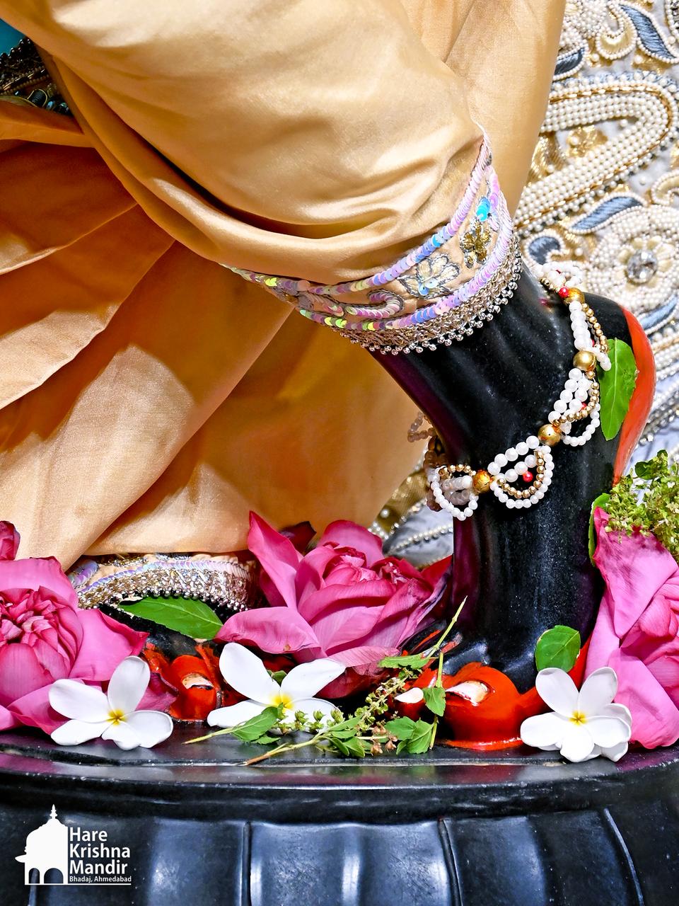 2026-05-04 Darshan